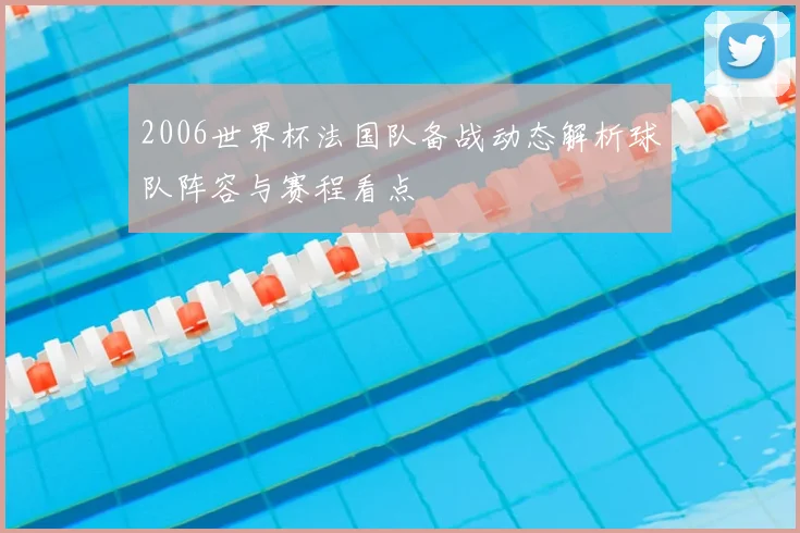2006世界杯法国队备战动态解析球队阵容与赛程看点