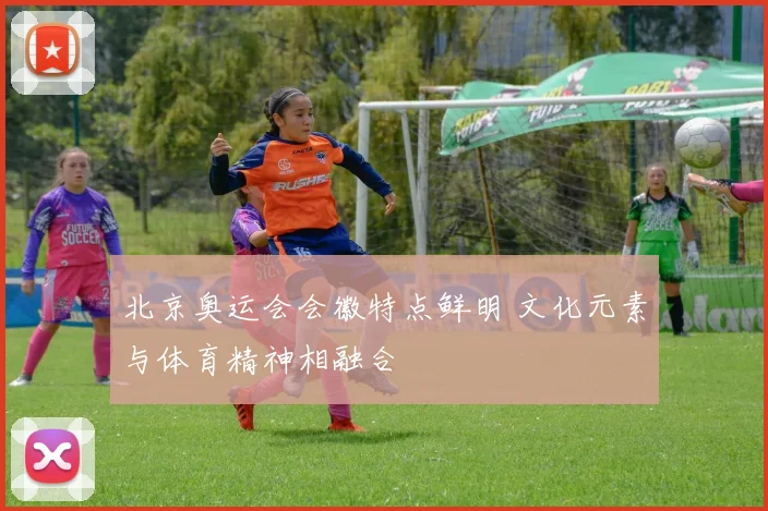 北京奥运会会徽特点鲜明 文化元素与体育精神相融合