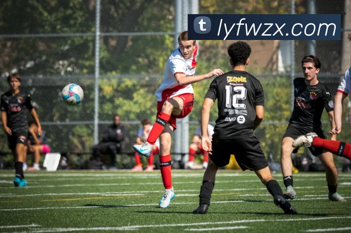 奖项图2